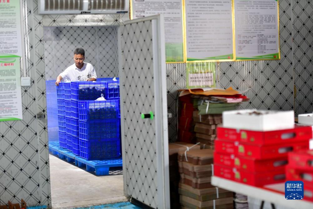 pt千亿客户端下载